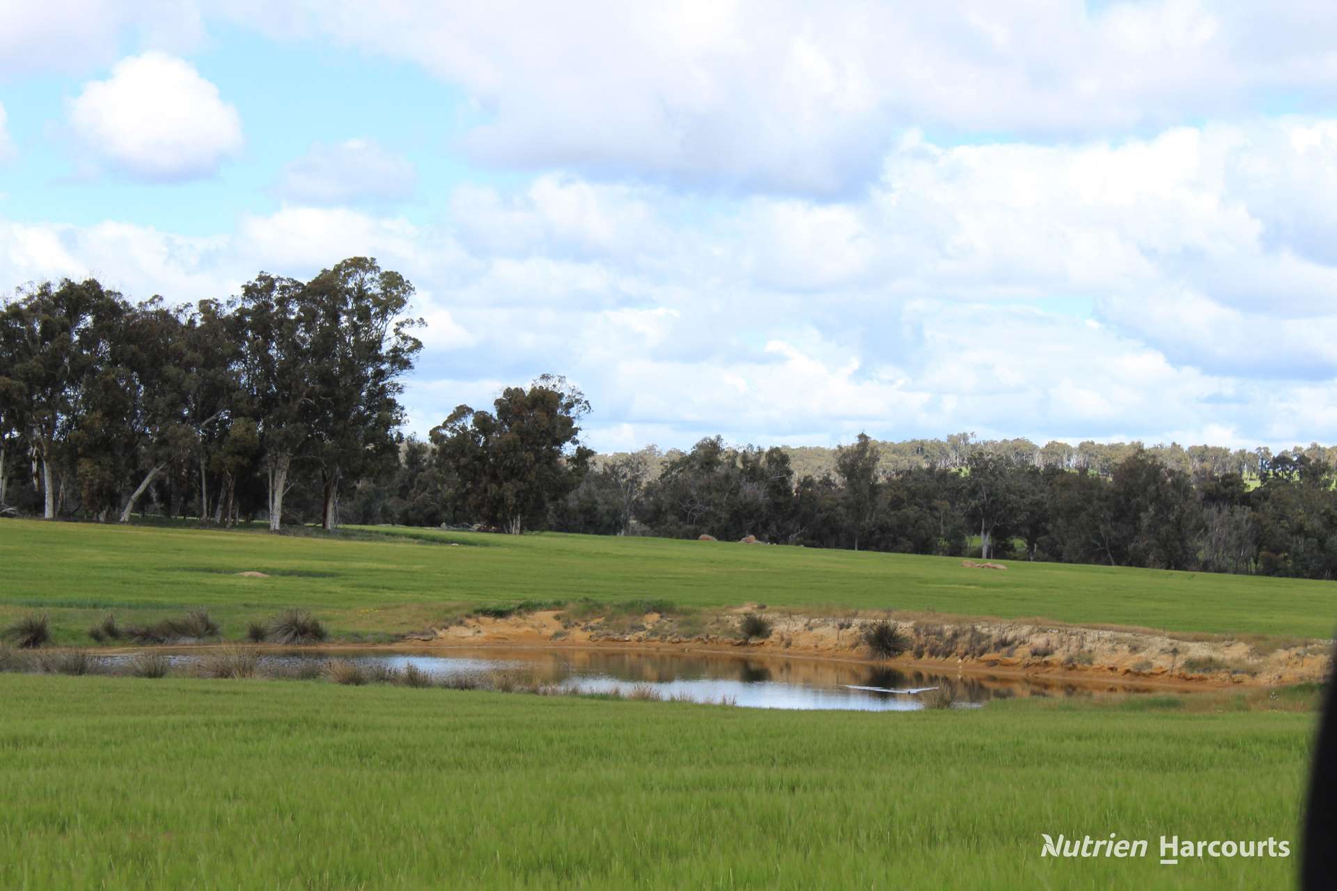 Lots 10632 & 25721 Strange Road, Jelcobine For Sale by Farmbuy.com - image 8
