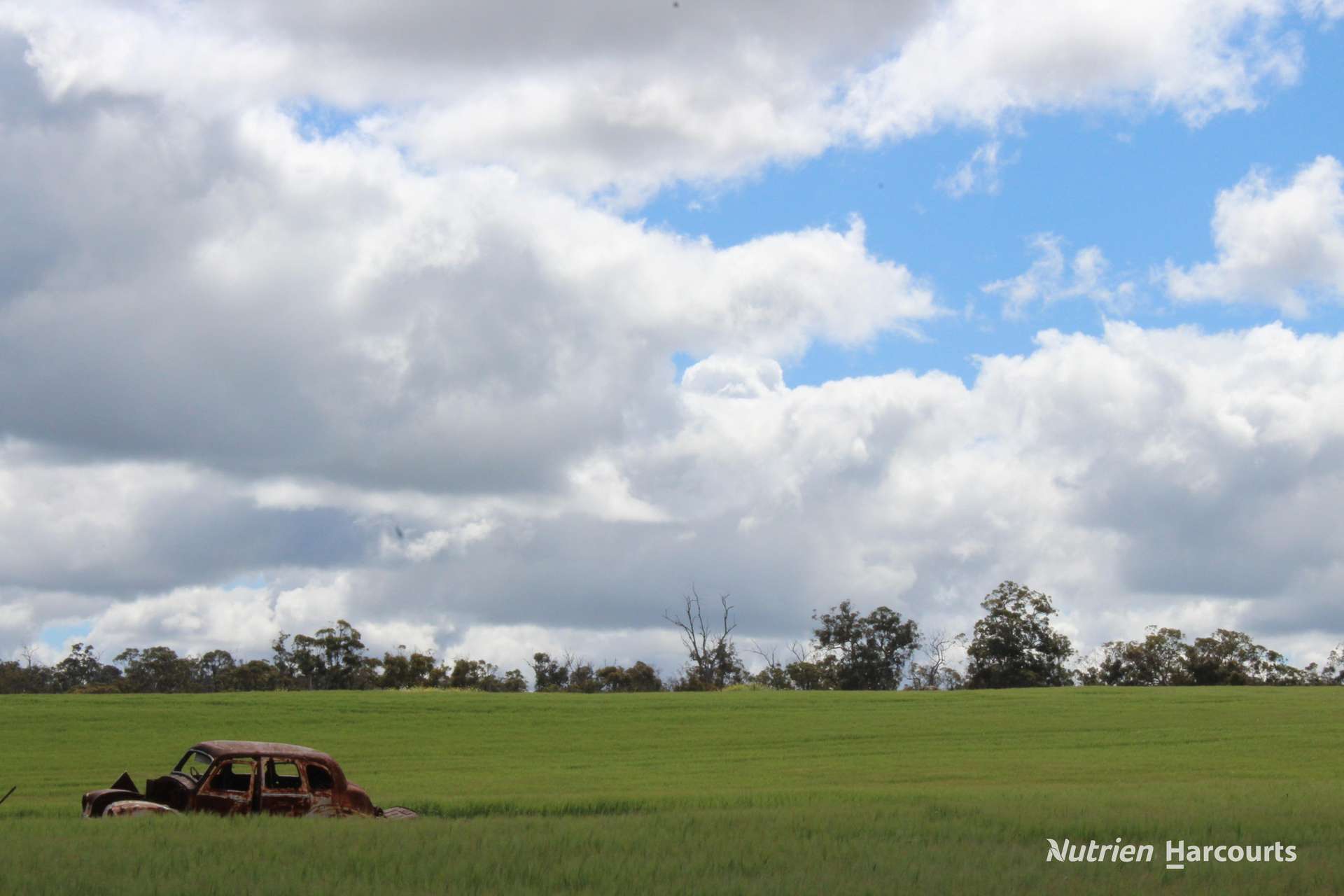 Lots 10632 & 25721 Strange Road, Jelcobine For Sale by Farmbuy.com - image 15