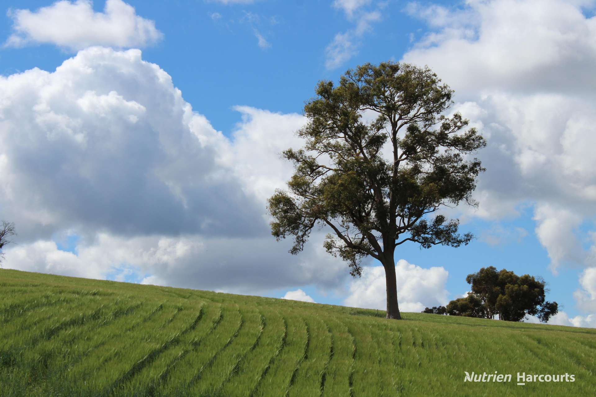 Lots 10632 & 25721 Strange Road, Jelcobine For Sale by Farmbuy.com - image 1
