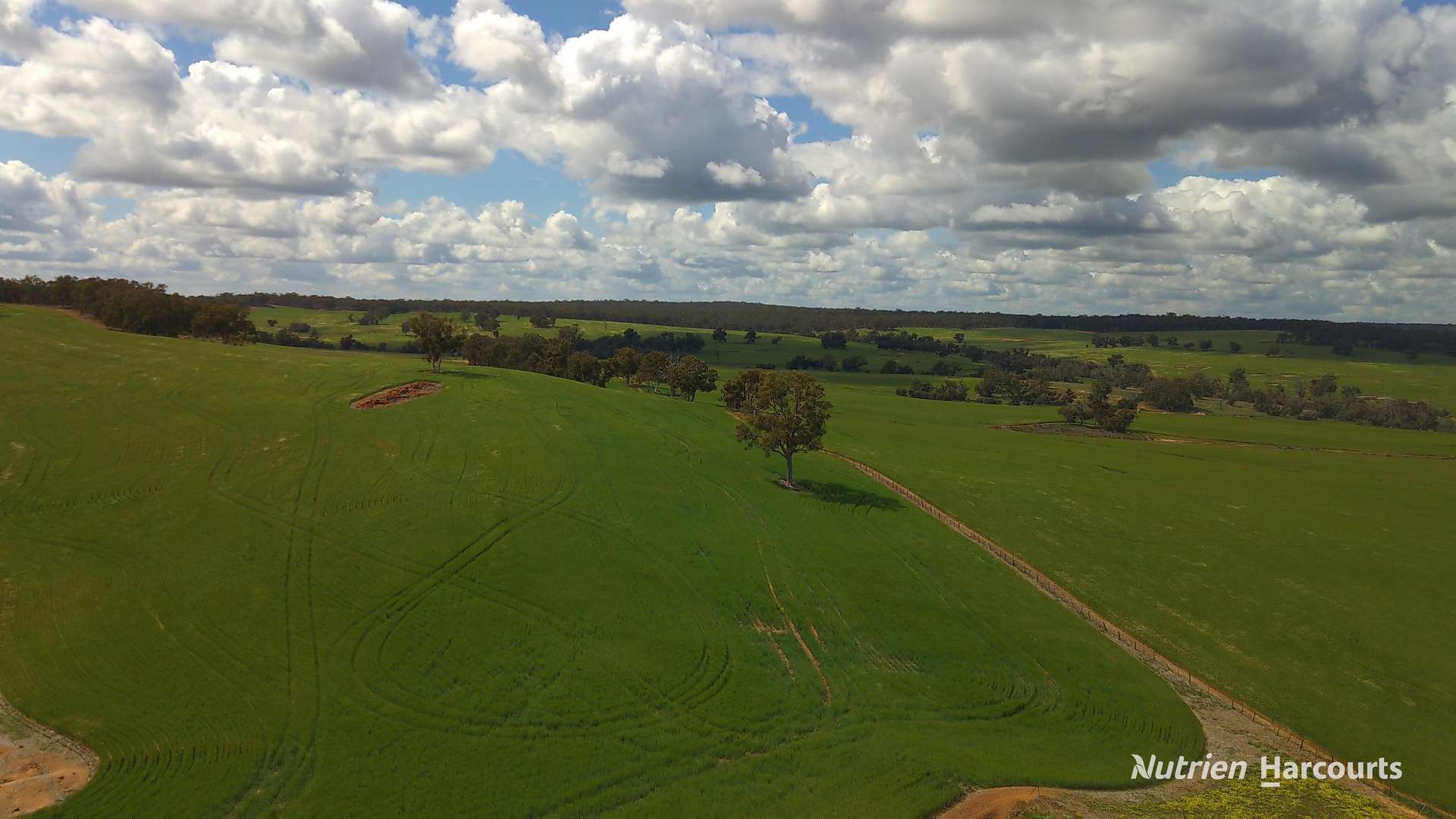 Lots 10632 & 25721 Strange Road, Jelcobine For Sale by Farmbuy.com - image 5