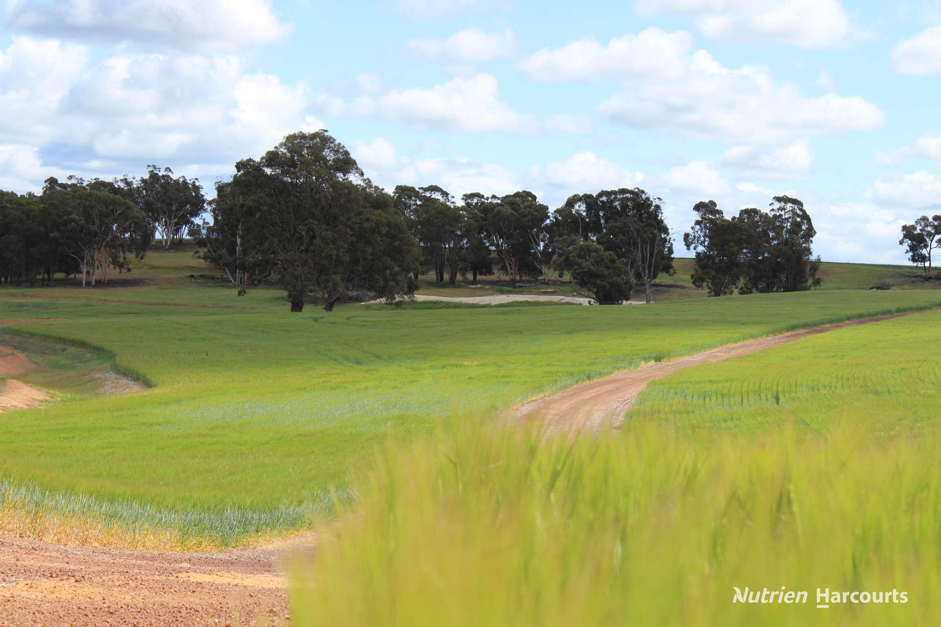 Lots 10632 & 25721 Strange Road, Jelcobine For Sale by Farmbuy.com - image 2