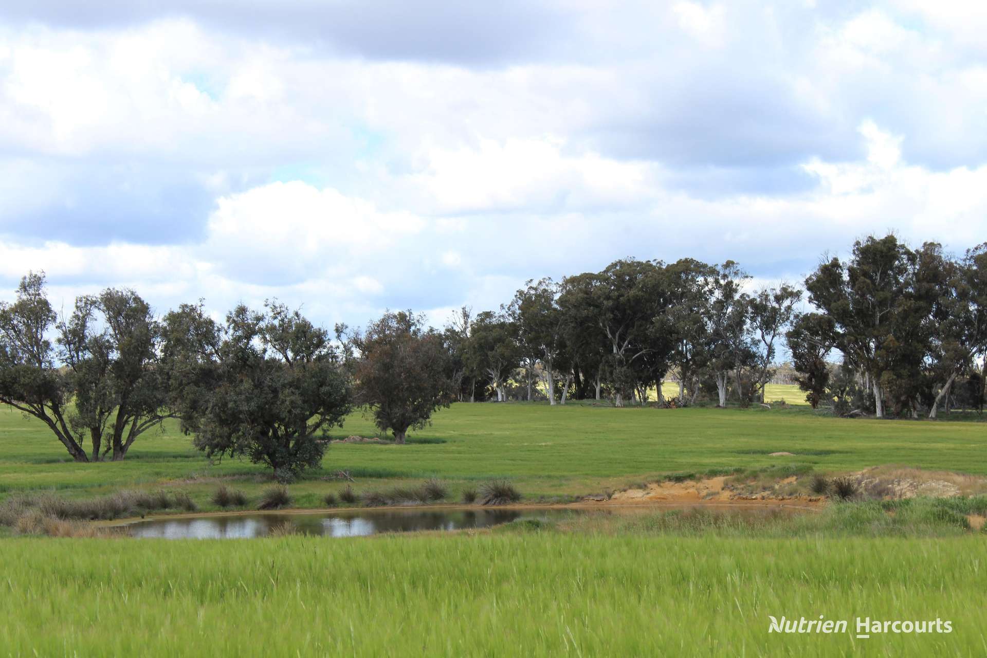 Lots 10632 & 25721 Strange Road, Jelcobine For Sale by Farmbuy.com - image 16