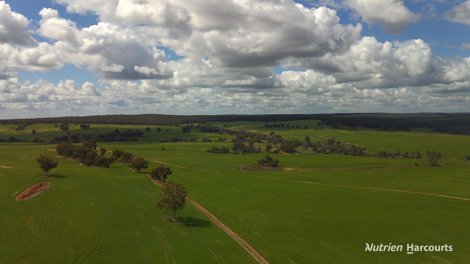 Lots 10632 & 25721 Strange Road, Jelcobine For Sale by Farmbuy.com - image 7