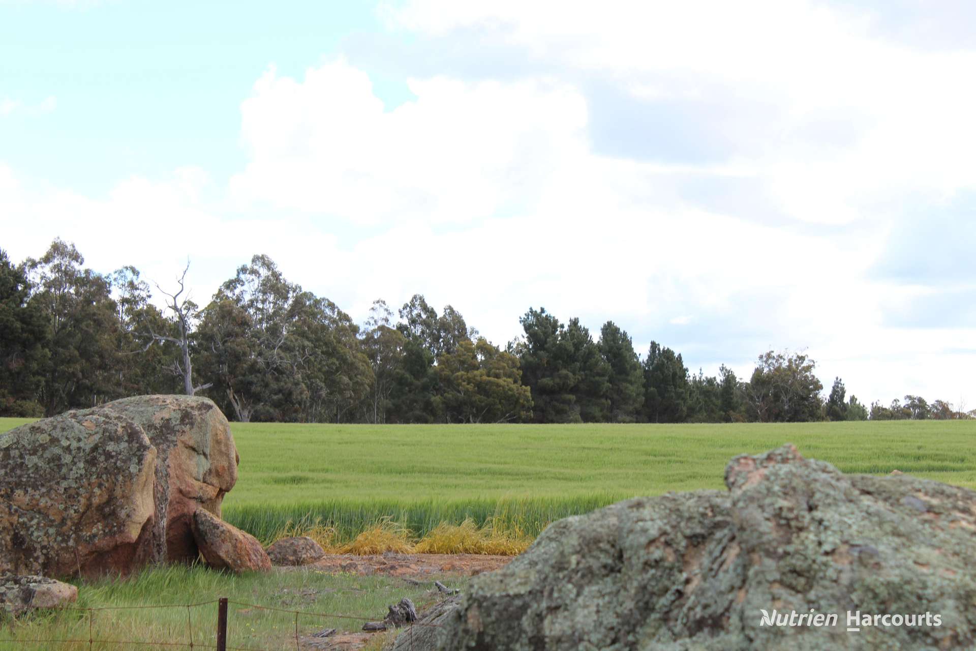 Lots 10632 & 25721 Strange Road, Jelcobine For Sale by Farmbuy.com - image 18