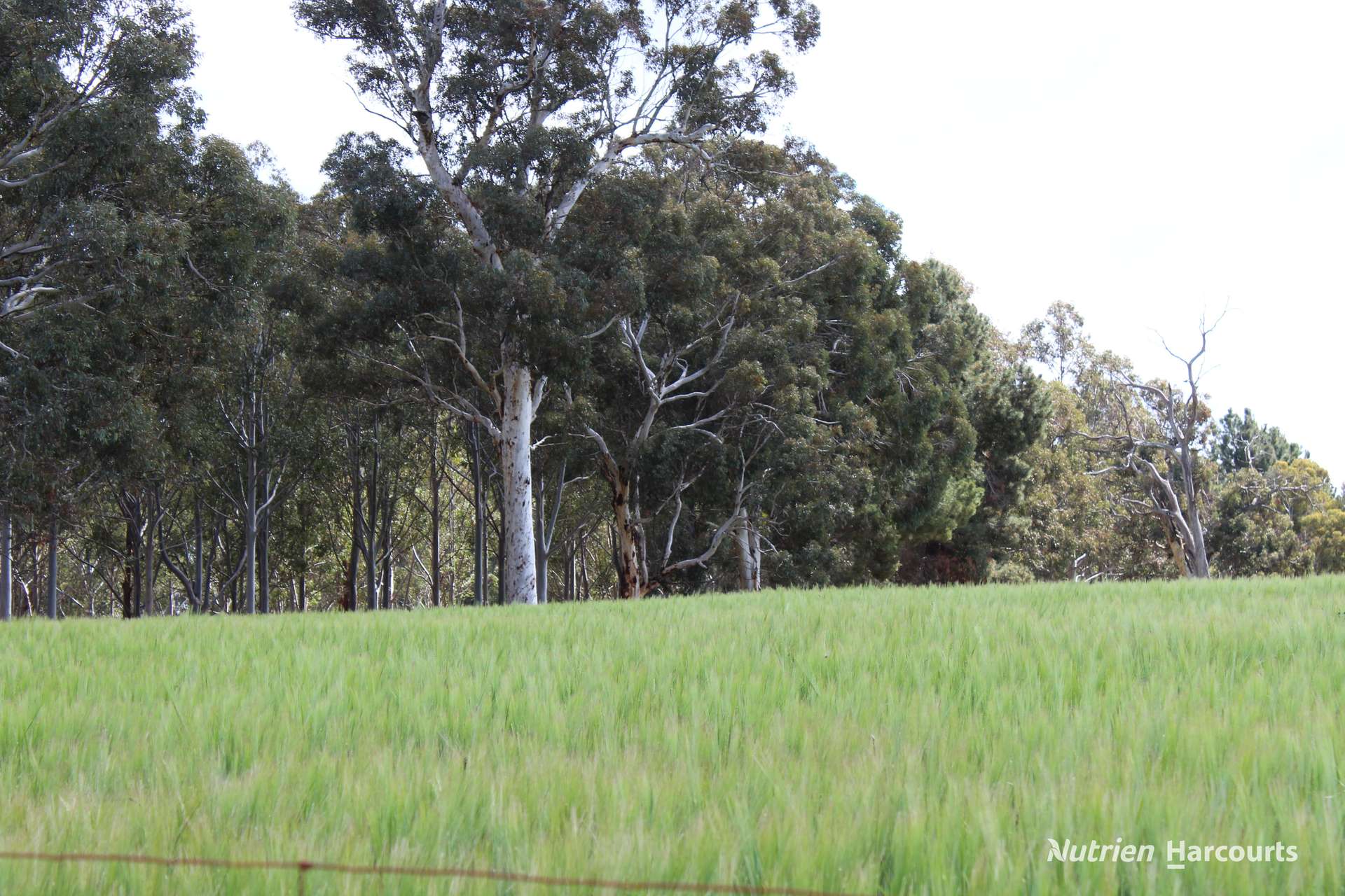 Lots 10632 & 25721 Strange Road, Jelcobine For Sale by Farmbuy.com - image 14