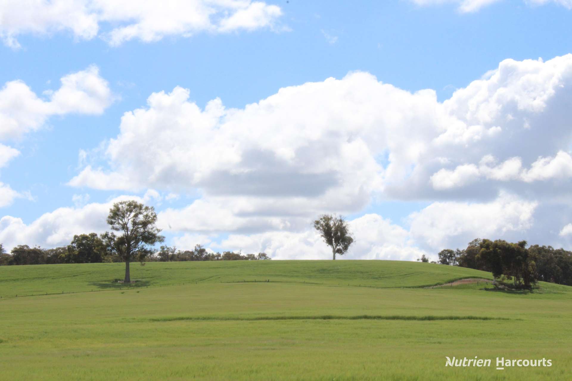 Lots 10632 & 25721 Strange Road, Jelcobine For Sale by Farmbuy.com - image 21