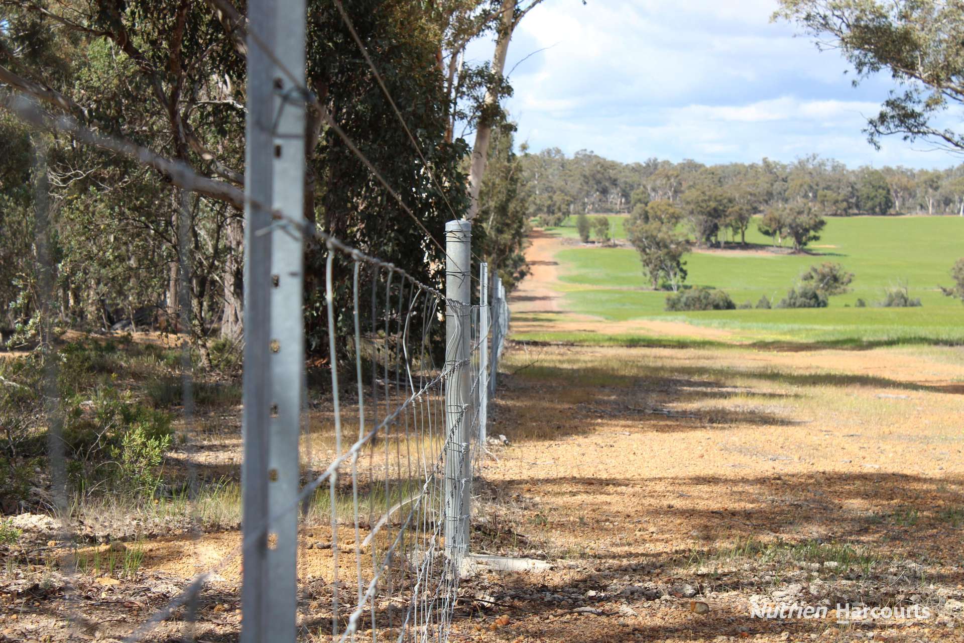 Lots 10632 & 25721 Strange Road, Jelcobine For Sale by Farmbuy.com - image 22