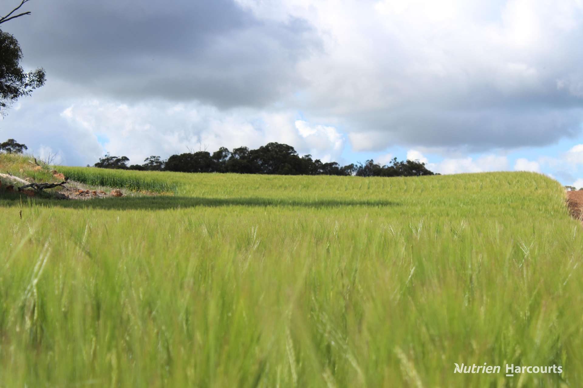 Lots 10632 & 25721 Strange Road, Jelcobine For Sale by Farmbuy.com - image 13