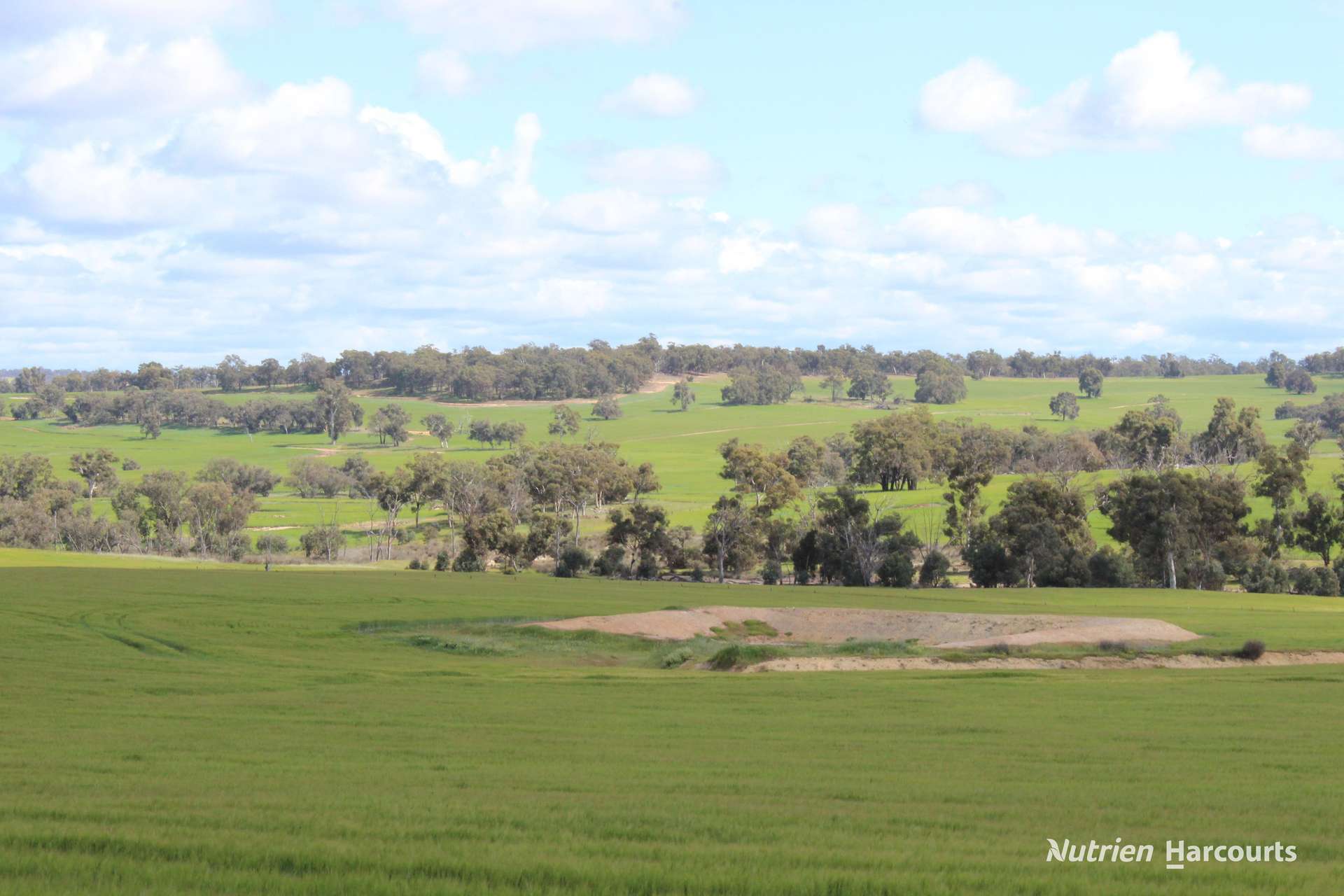 Lots 10632 & 25721 Strange Road, Jelcobine For Sale by Farmbuy.com - image 17
