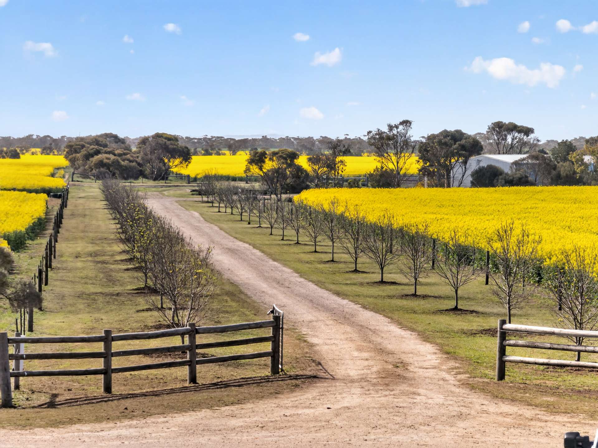 590 Echo Park Road, Nurragi For Sale by Farmbuy.com - image 1