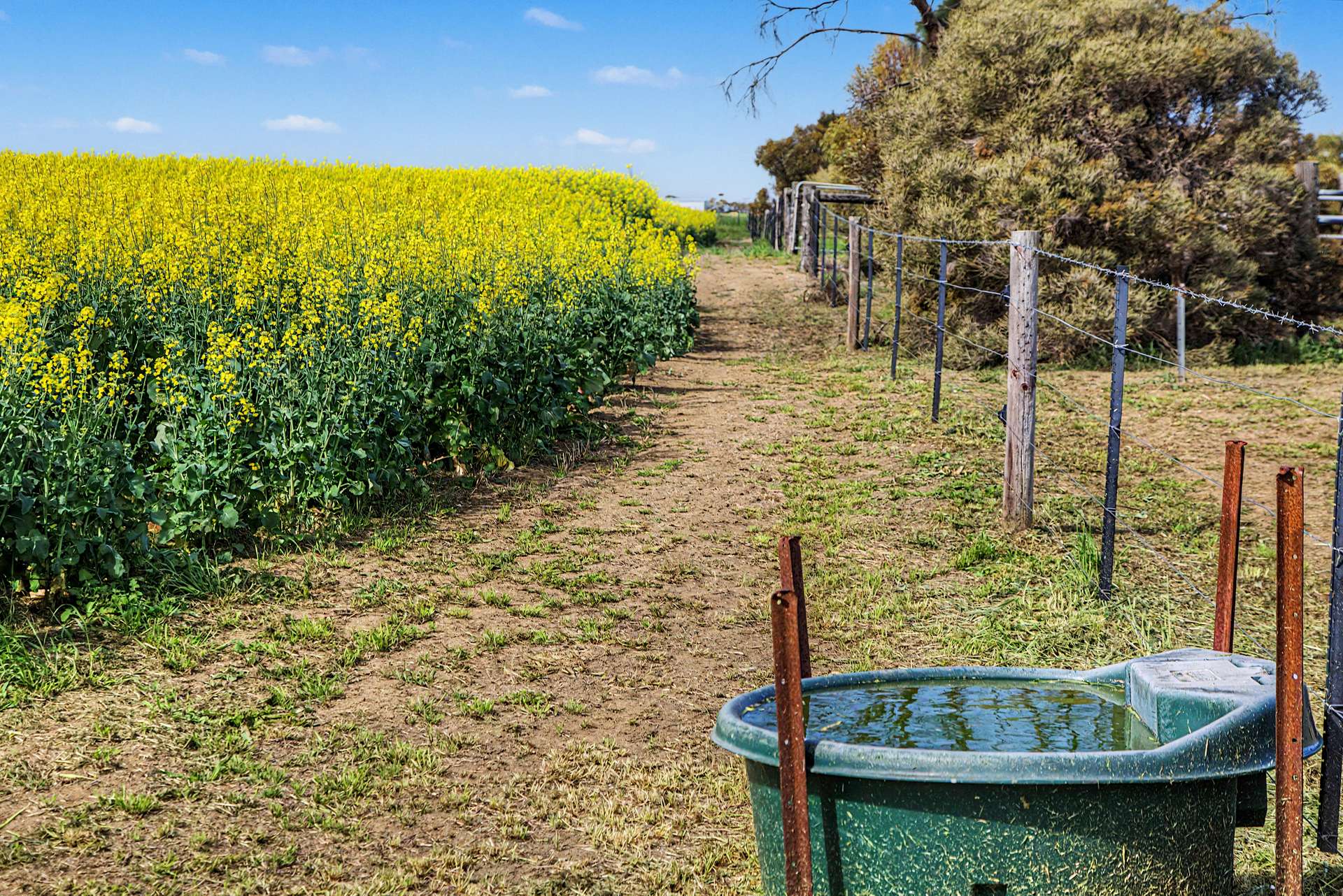 590 Echo Park Road, Nurragi For Sale by Farmbuy.com - image 20
