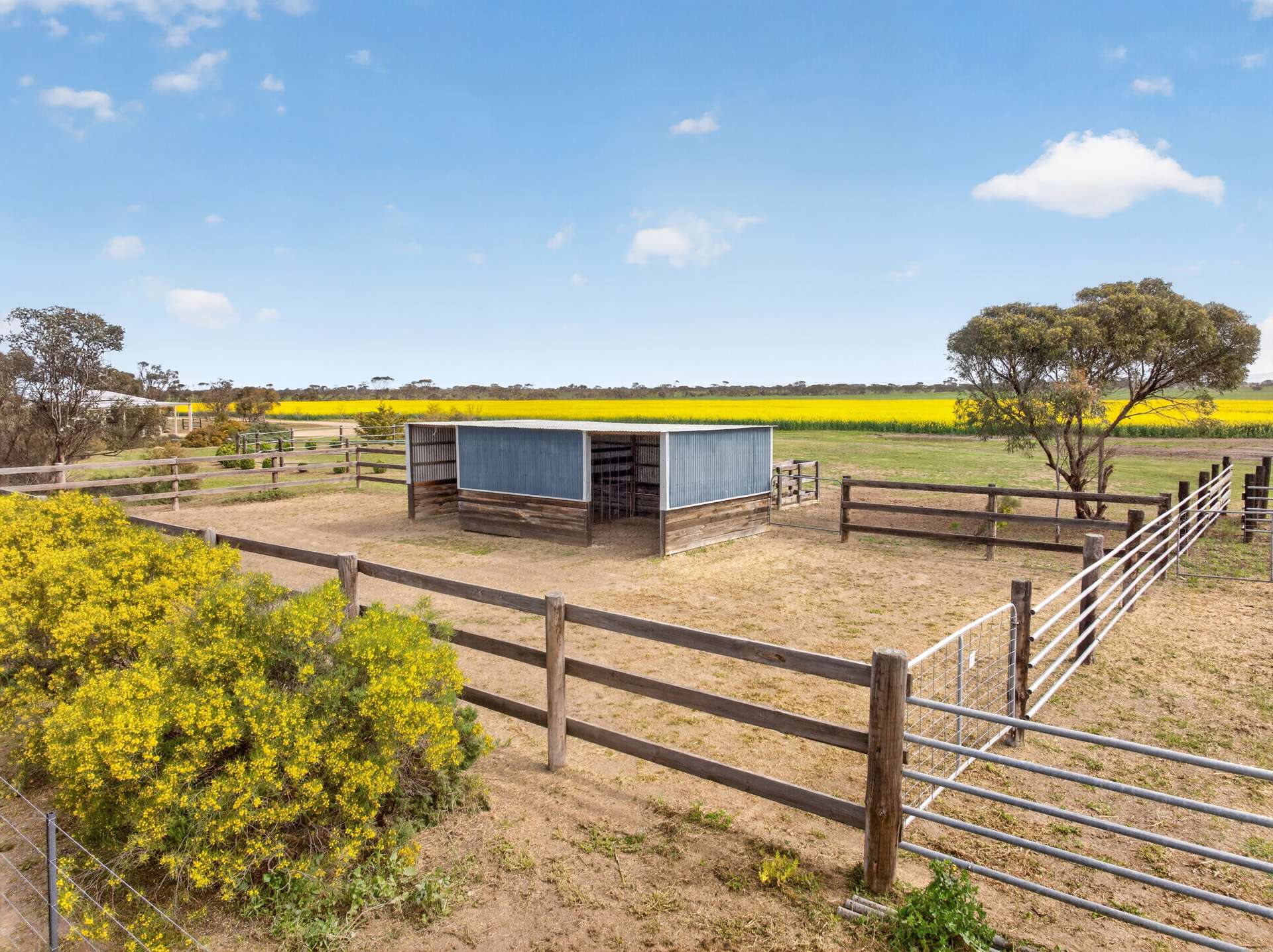 590 Echo Park Road, Nurragi For Sale by Farmbuy.com - image 21