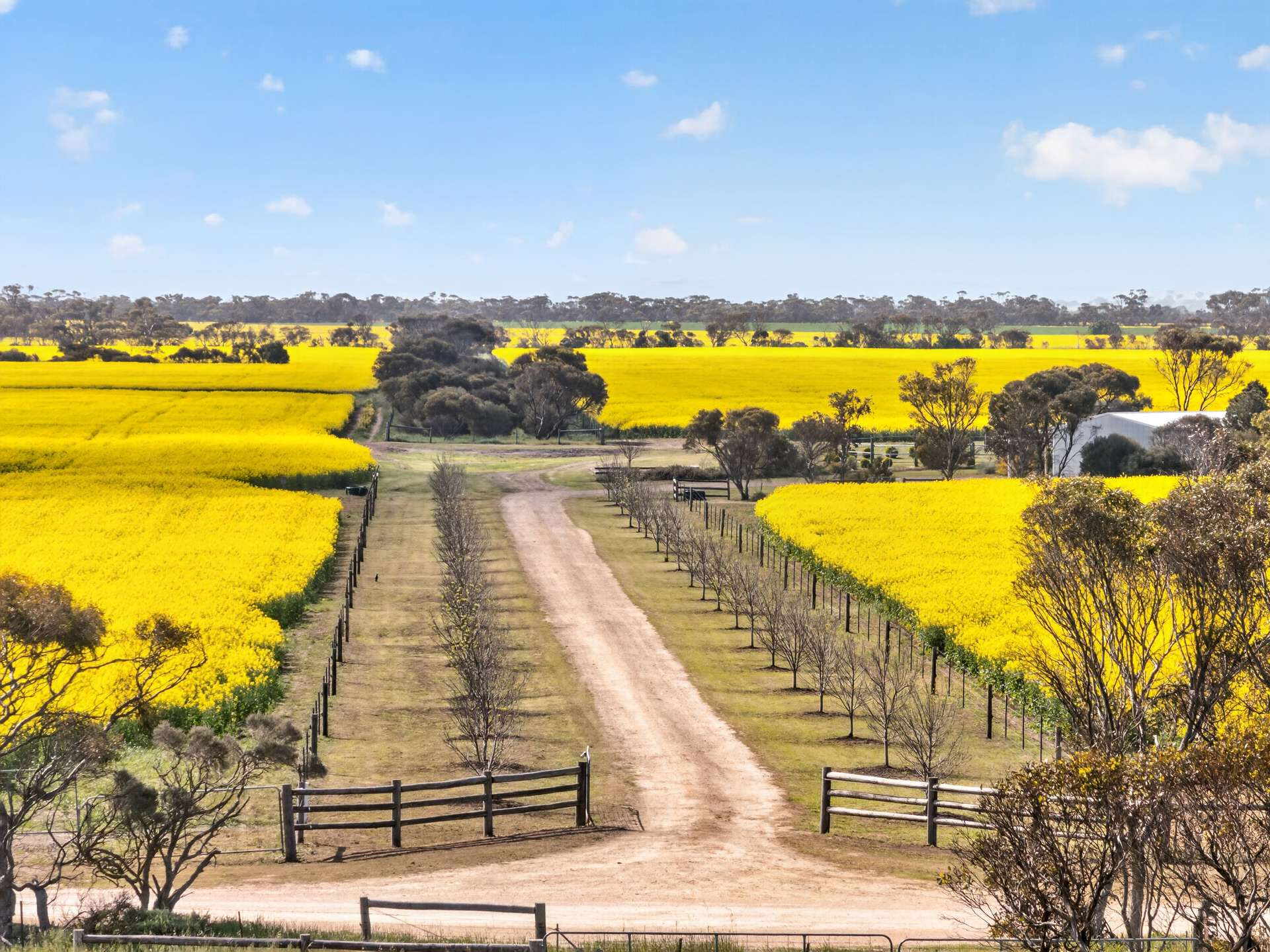 590 Echo Park Road, Nurragi For Sale by Farmbuy.com - image 26