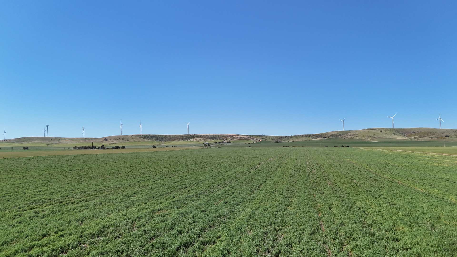'Pine Hill' Noyces Road, Clements Gap For Sale by Farmbuy.com - image 4