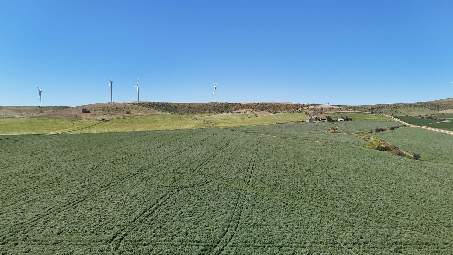 'Pine Hill' Noyces Road, Clements Gap For Sale by Farmbuy.com - image 14