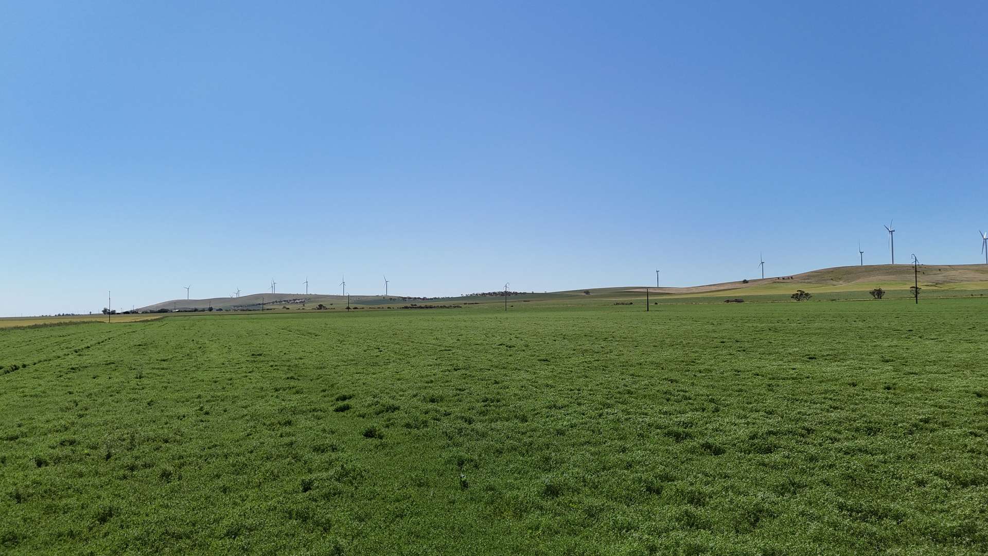 'Pine Hill' Noyces Road, Clements Gap For Sale by Farmbuy.com - image 12