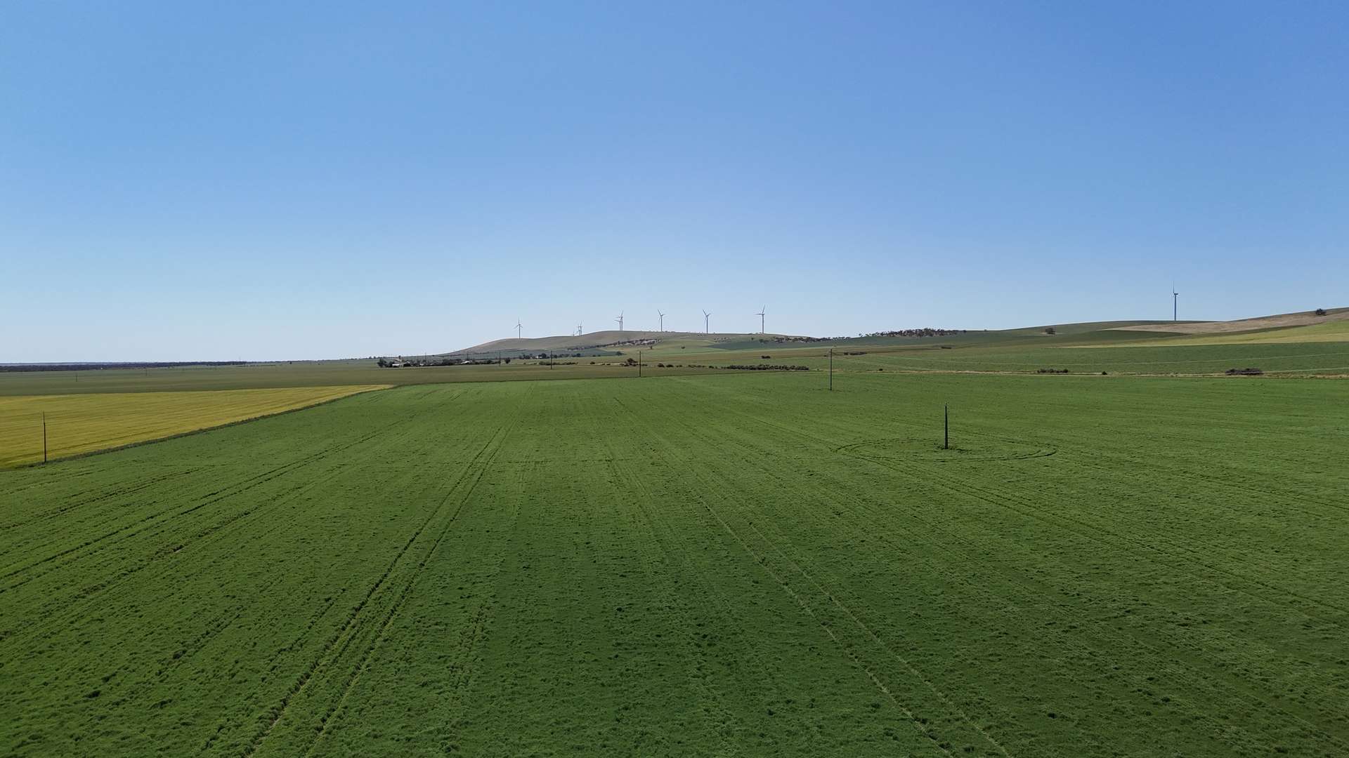 'Pine Hill' Noyces Road, Clements Gap For Sale by Farmbuy.com - image 6