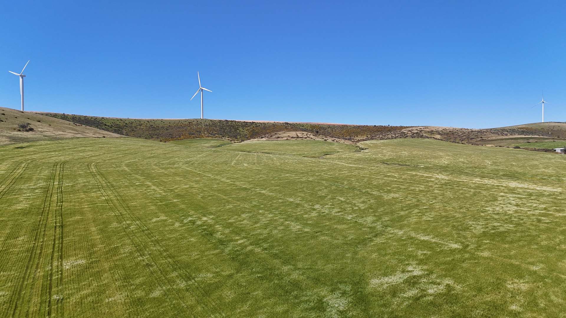 'Pine Hill' Noyces Road, Clements Gap For Sale by Farmbuy.com - image 19
