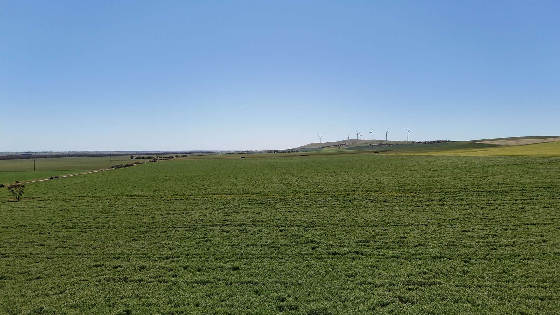 'Pine Hill' Noyces Road, Clements Gap For Sale by Farmbuy.com - image 7