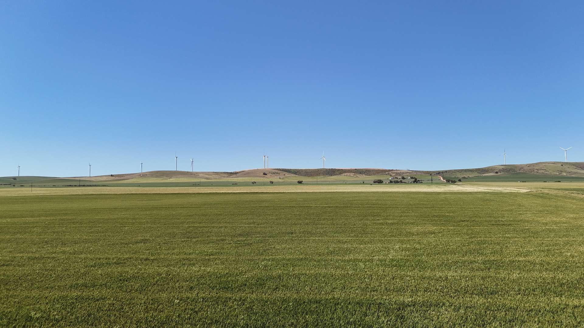 'Pine Hill' Noyces Road, Clements Gap For Sale by Farmbuy.com - image 10