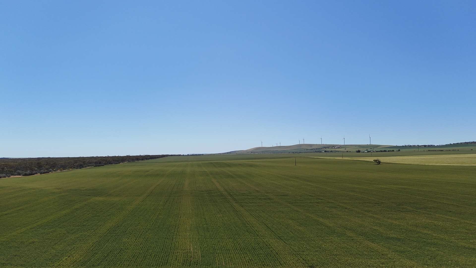 'Pine Hill' Noyces Road, Clements Gap For Sale by Farmbuy.com - image 8