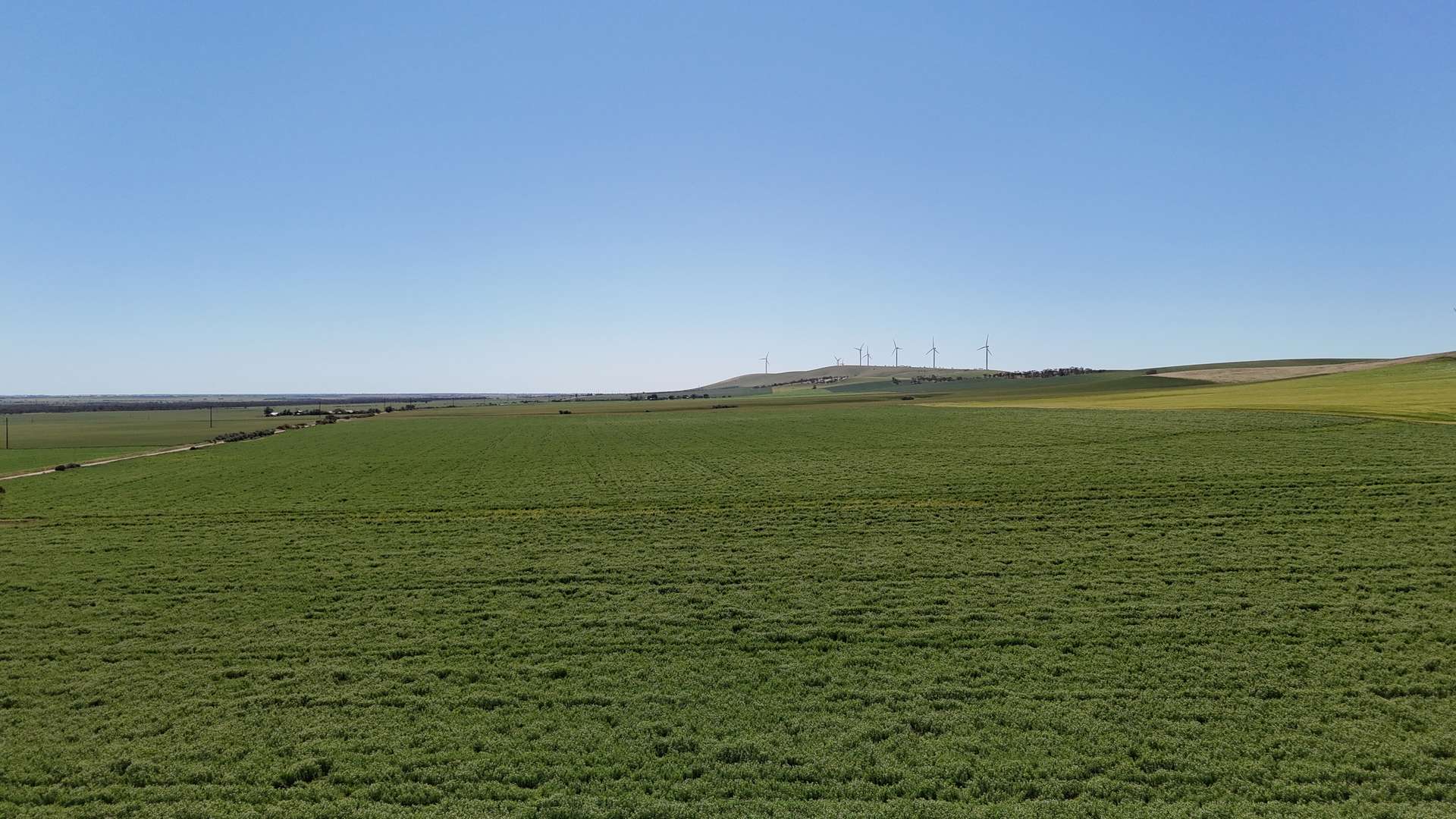 'Pine Hill' Noyces Road, Clements Gap For Sale by Farmbuy.com - image 17