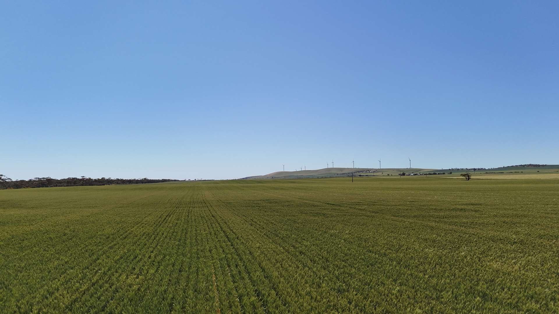 'Pine Hill' Noyces Road, Clements Gap For Sale by Farmbuy.com - image 9