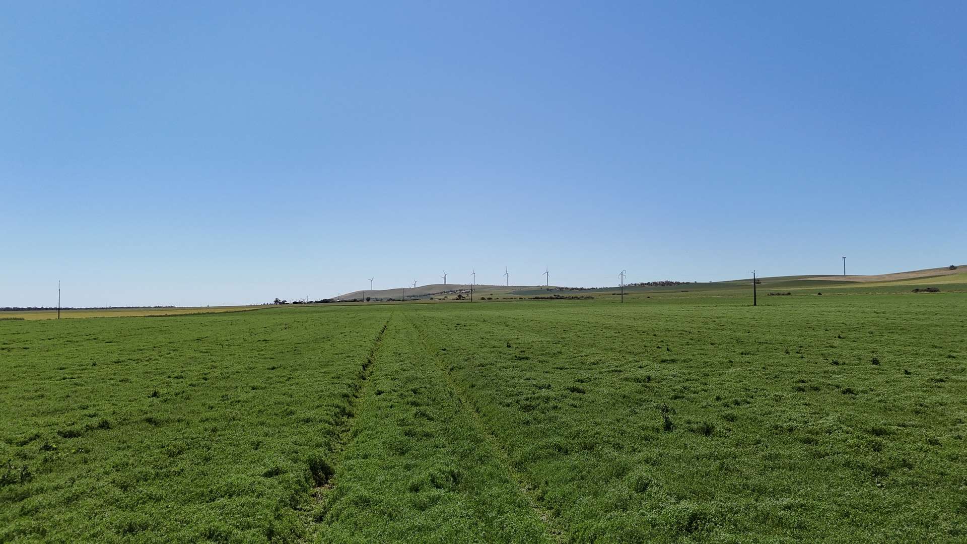 'Pine Hill' Noyces Road, Clements Gap For Sale by Farmbuy.com - image 13