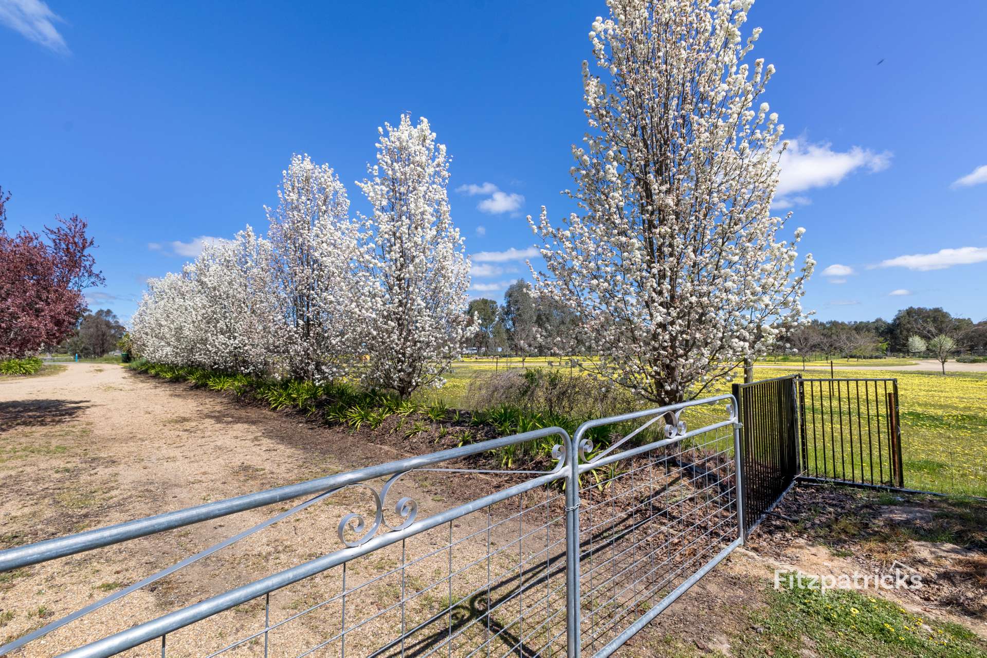 15 Poplar Road, Lake Albert For Sale by Farmbuy.com - image 34