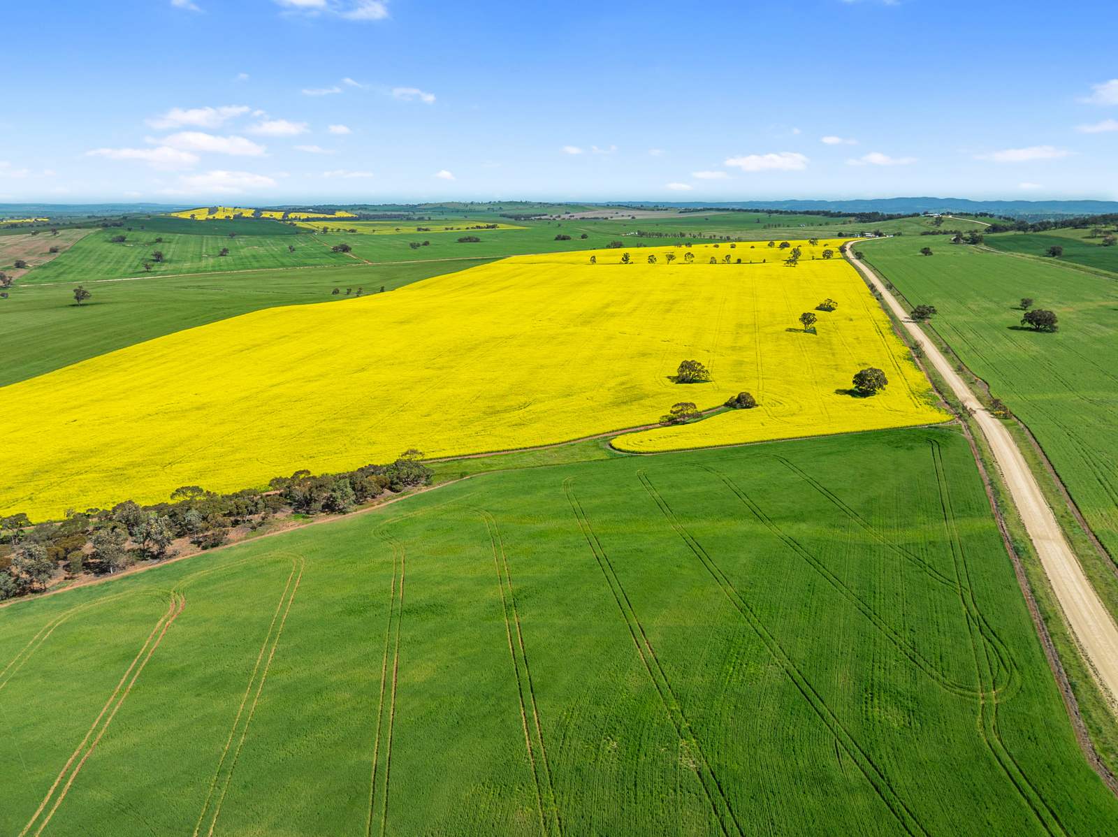 93 Mahood Road, Wirrabara For Sale by Farmbuy.com - image 17