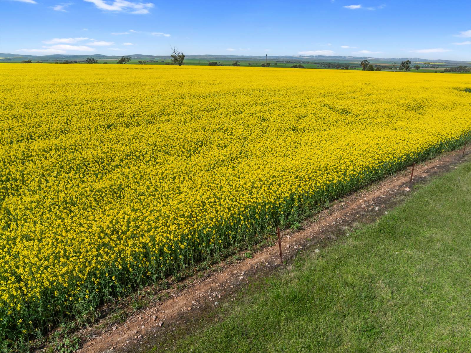 93 Mahood Road, Wirrabara For Sale by Farmbuy.com - image 24