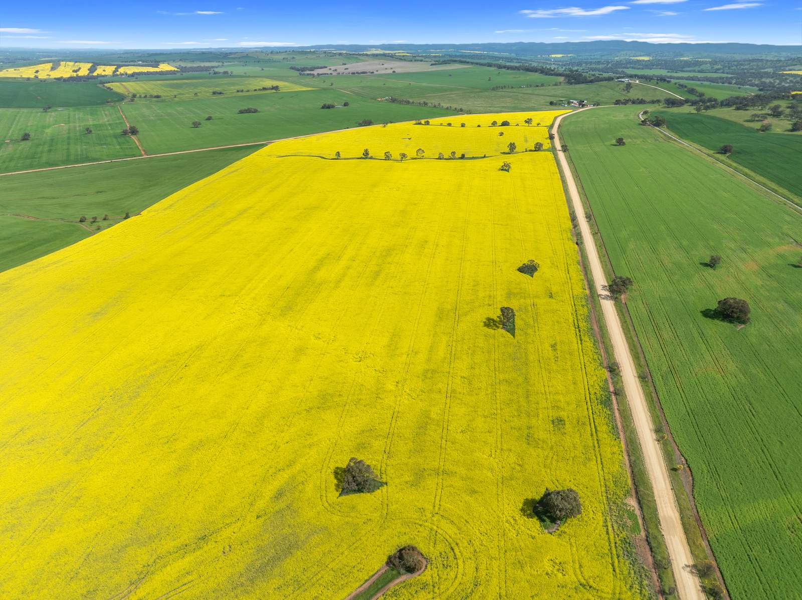 93 Mahood Road, Wirrabara For Sale by Farmbuy.com - image 19