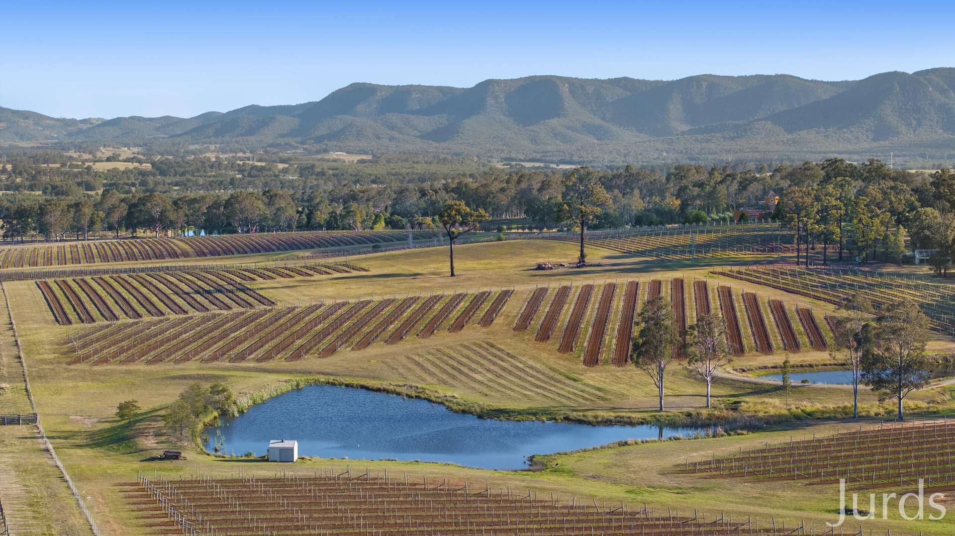 257 Sweetwater Road, Pokolbin For Sale by Farmbuy.com - image 3