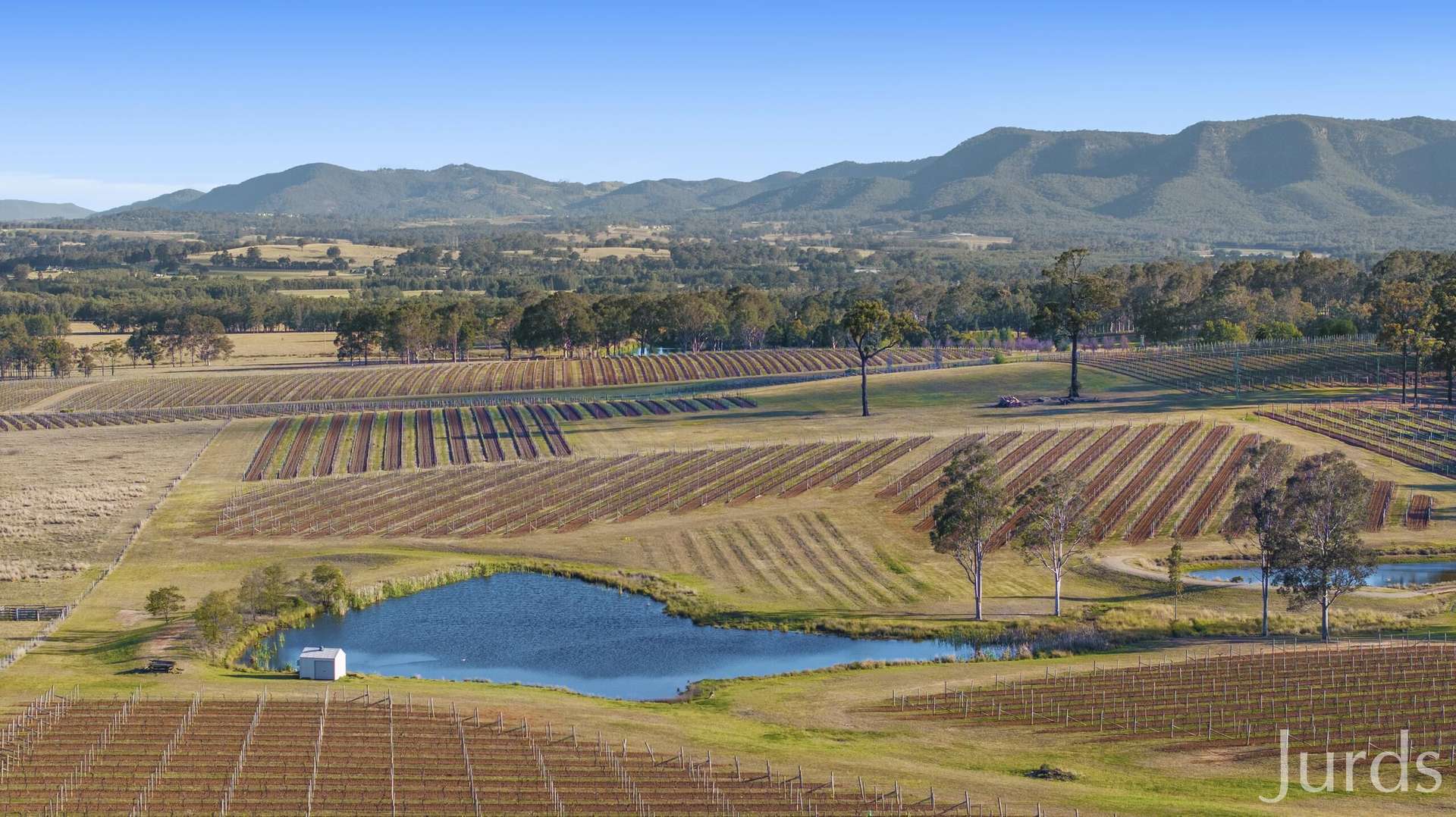 257 Sweetwater Road, Pokolbin For Sale by Farmbuy.com - image 8