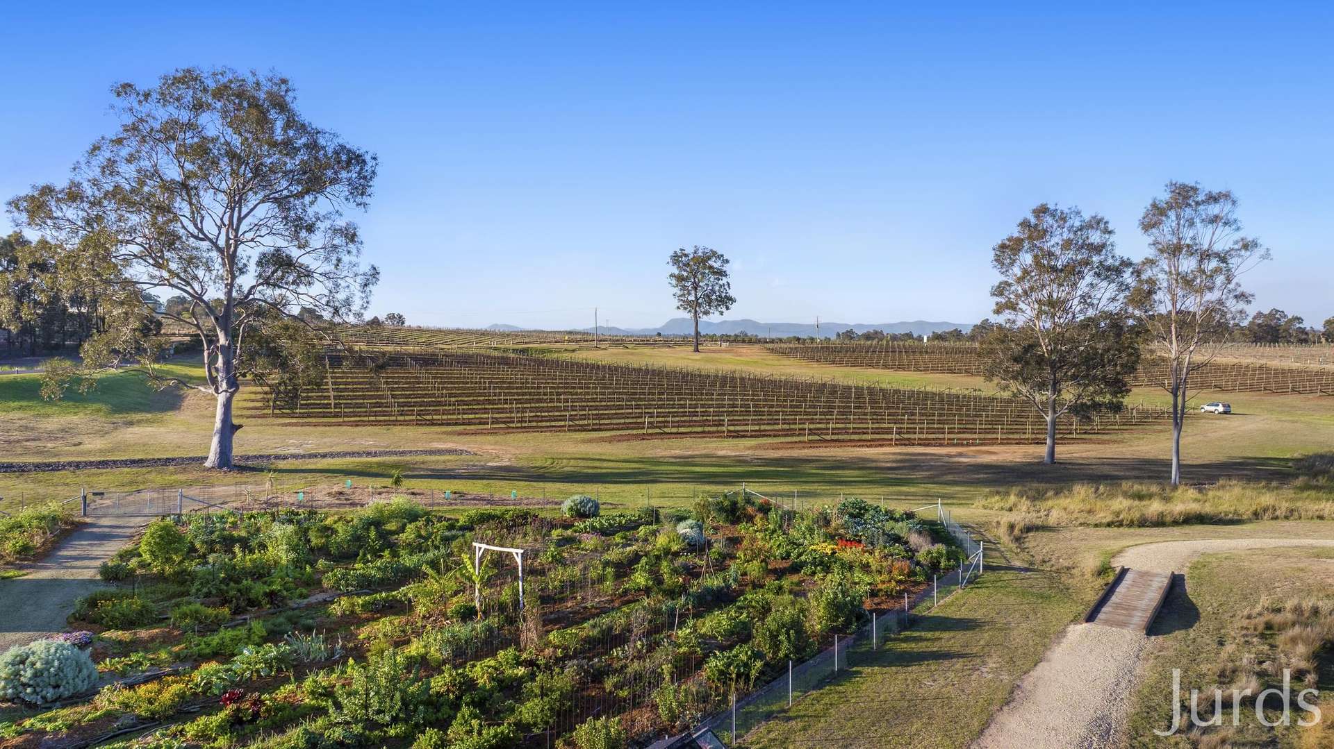 257 Sweetwater Road, Pokolbin For Sale by Farmbuy.com - image 19