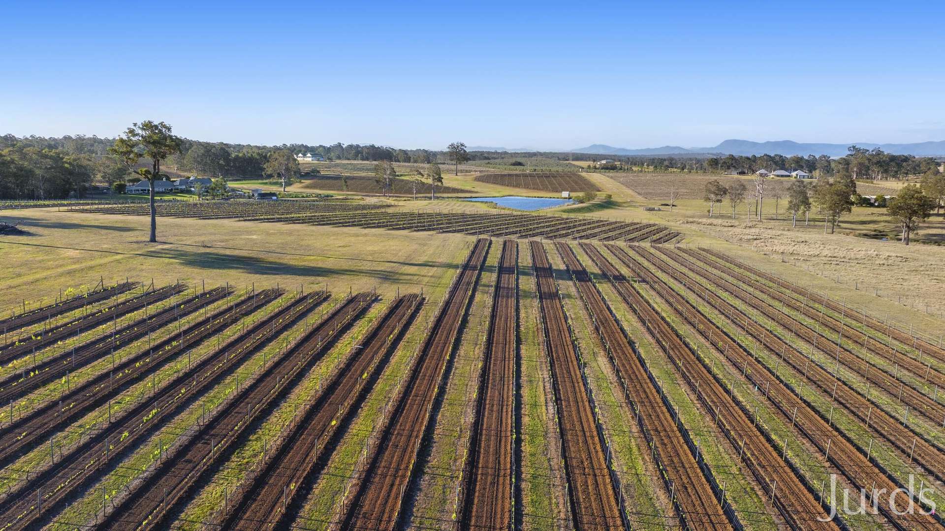 257 Sweetwater Road, Pokolbin For Sale by Farmbuy.com - image 15