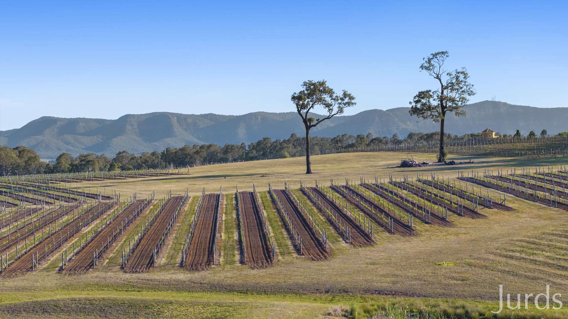 257 Sweetwater Road, Pokolbin For Sale by Farmbuy.com - image 5