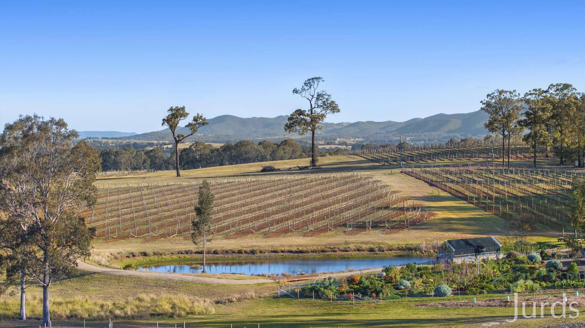 257 Sweetwater Road, Pokolbin For Sale by Farmbuy.com - image 16