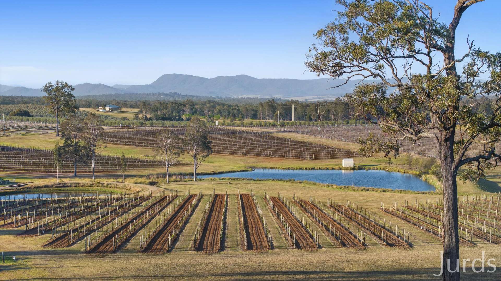 257 Sweetwater Road, Pokolbin For Sale by Farmbuy.com - image 4
