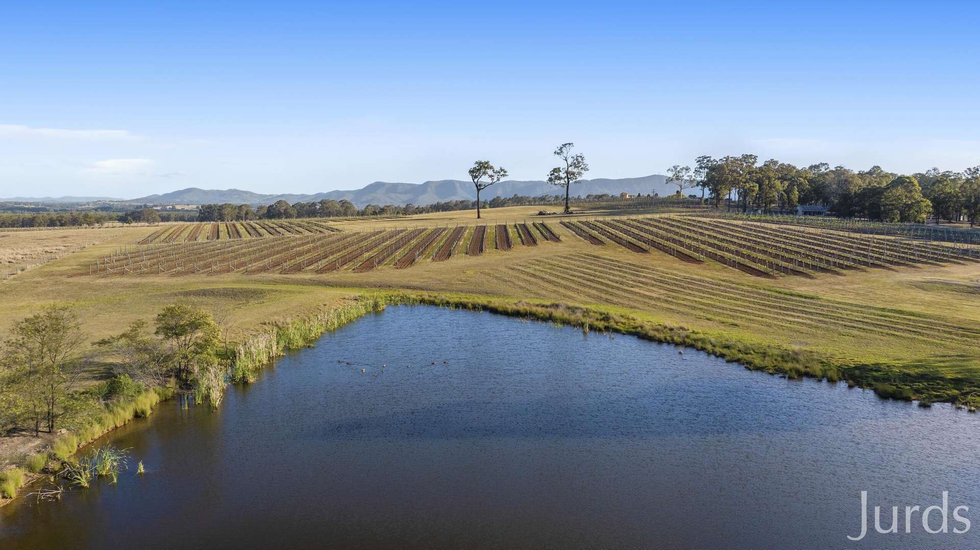 257 Sweetwater Road, Pokolbin For Sale by Farmbuy.com - image 13