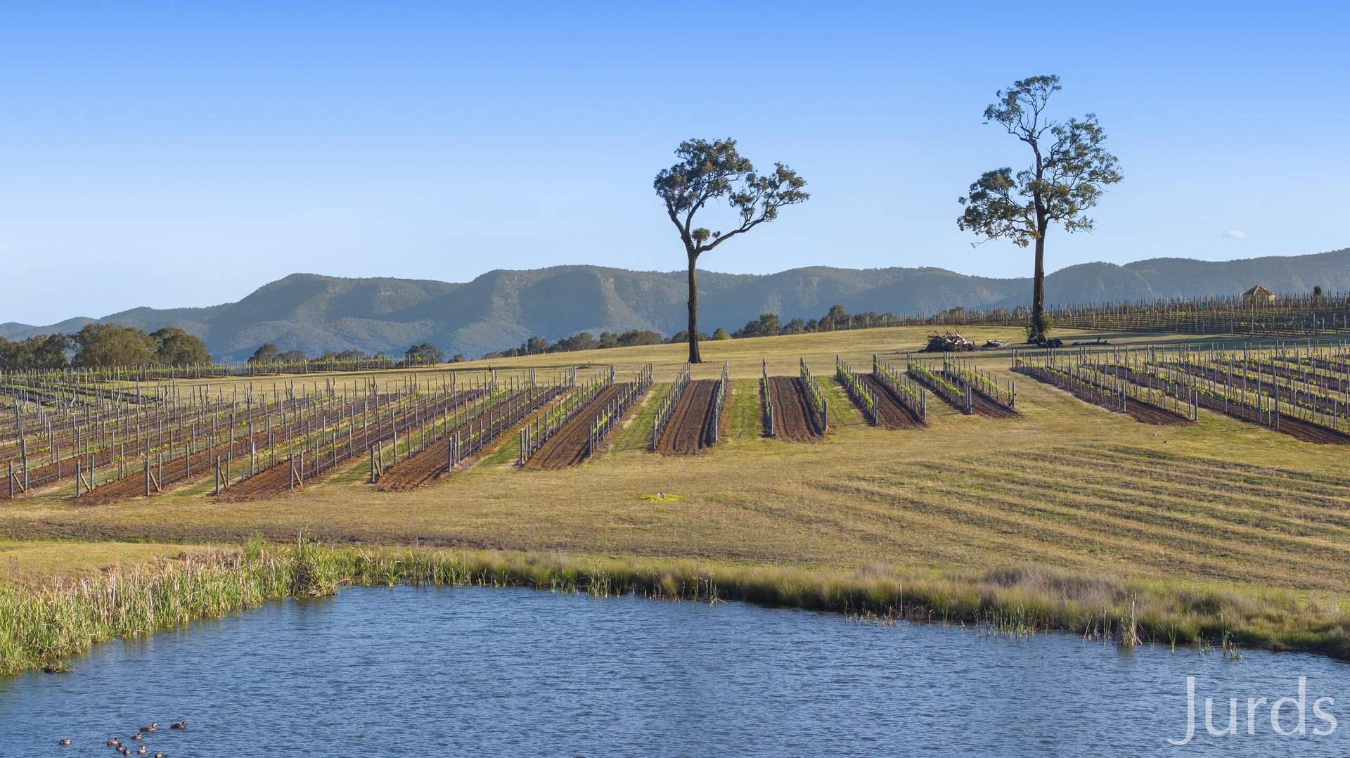 257 Sweetwater Road, Pokolbin For Sale by Farmbuy.com - image 12