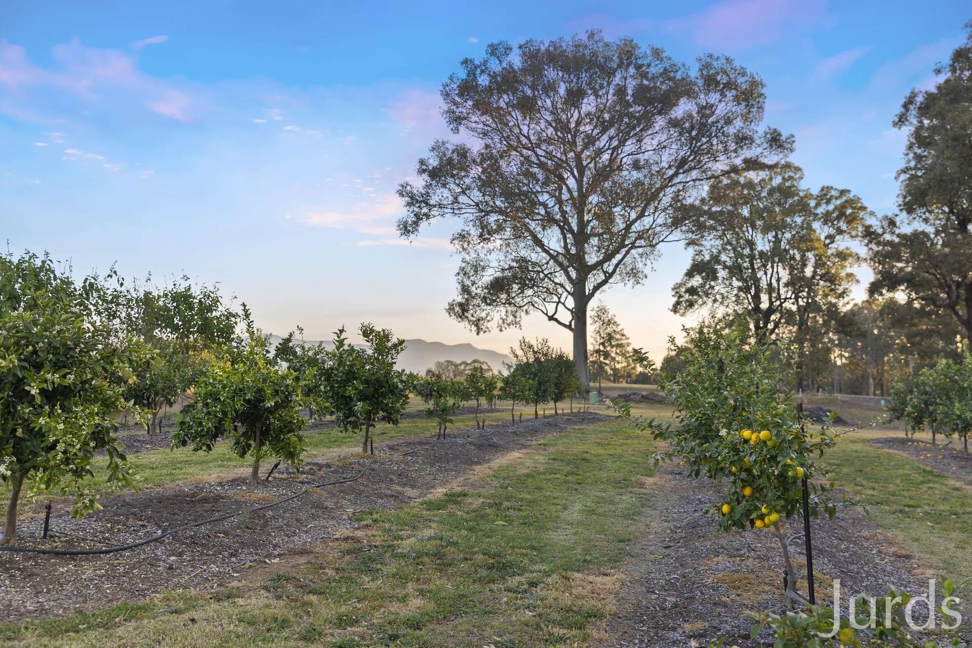 273 Sweetwater Road, Pokolbin For Sale by Farmbuy.com - image 14