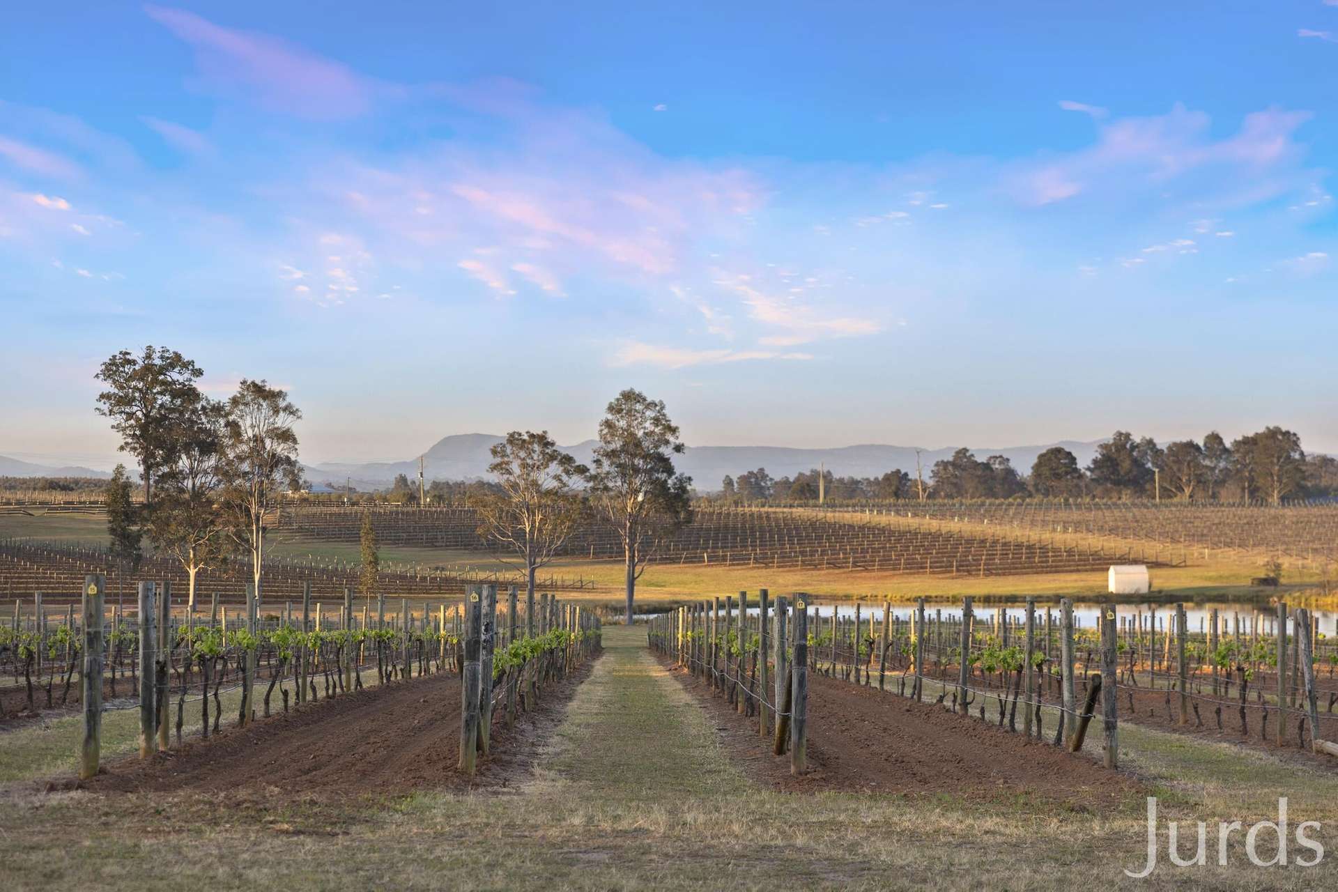 273 Sweetwater Road, Pokolbin For Sale by Farmbuy.com - image 3