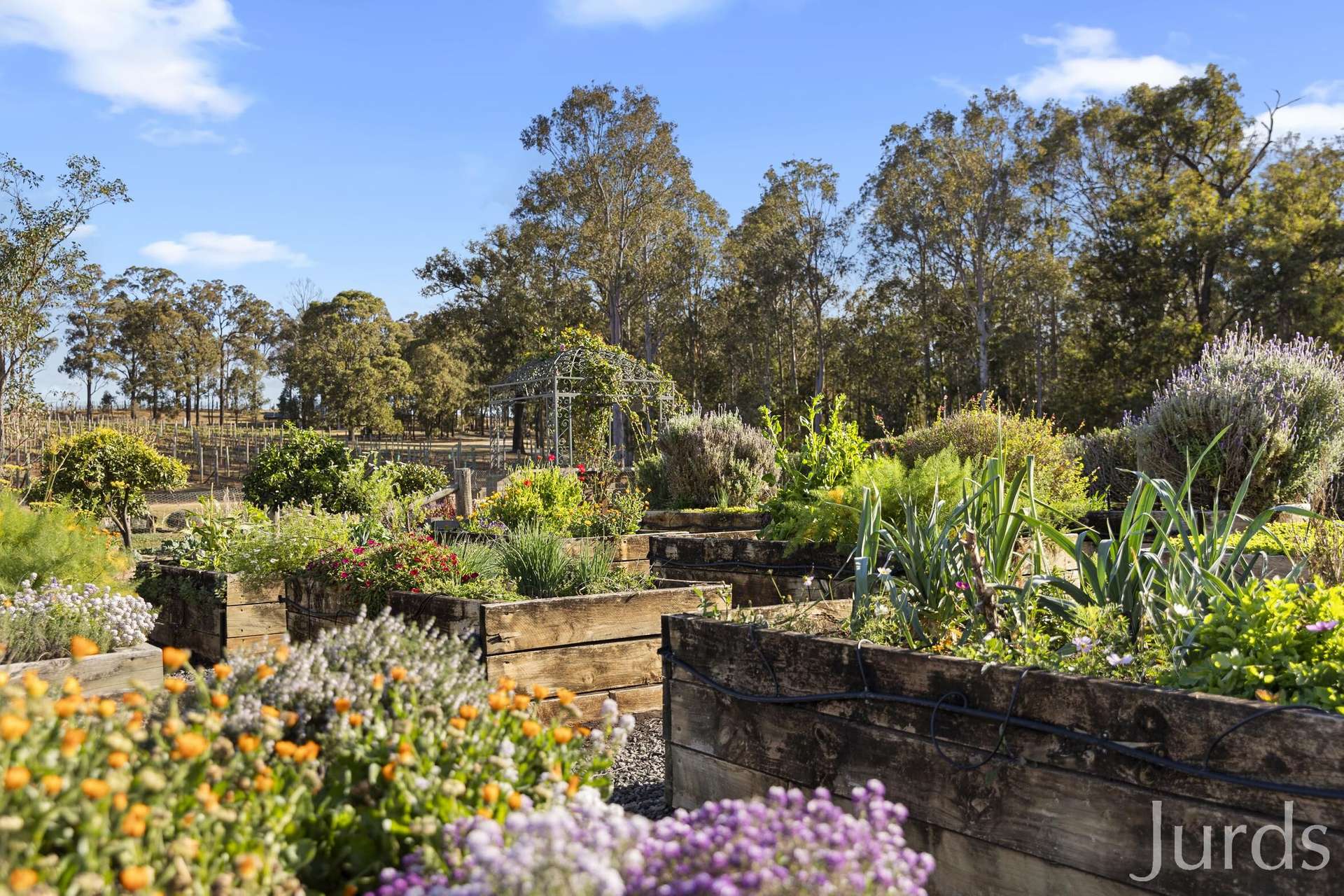 273 Sweetwater Road, Pokolbin For Sale by Farmbuy.com - image 13