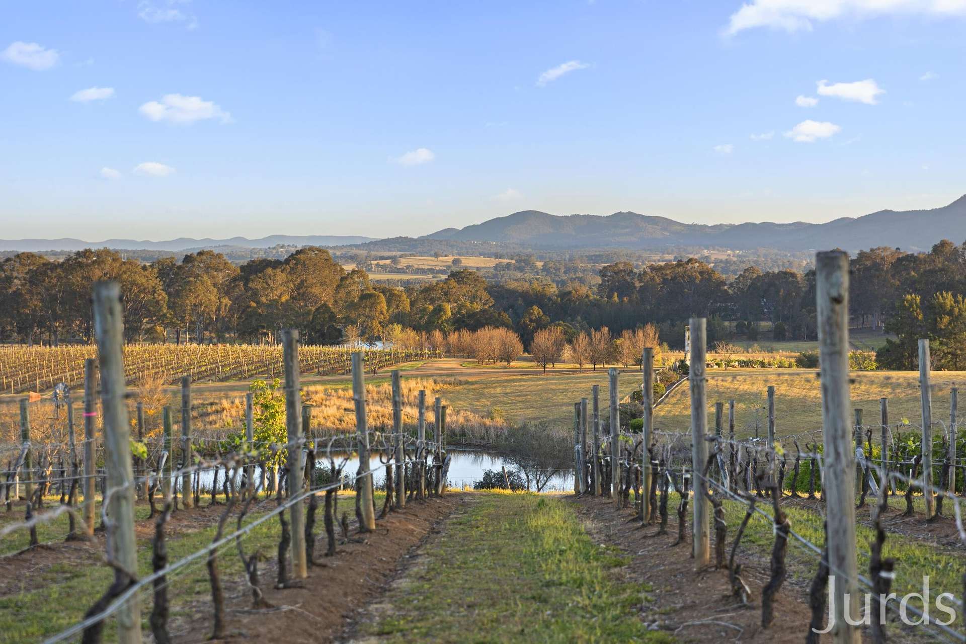 273 Sweetwater Road, Pokolbin For Sale by Farmbuy.com - image 5