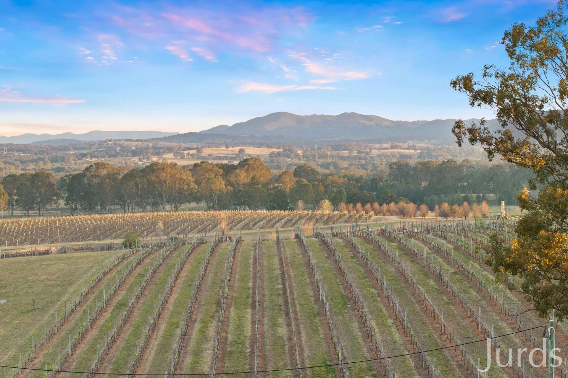 273 Sweetwater Road, Pokolbin For Sale by Farmbuy.com - image 4