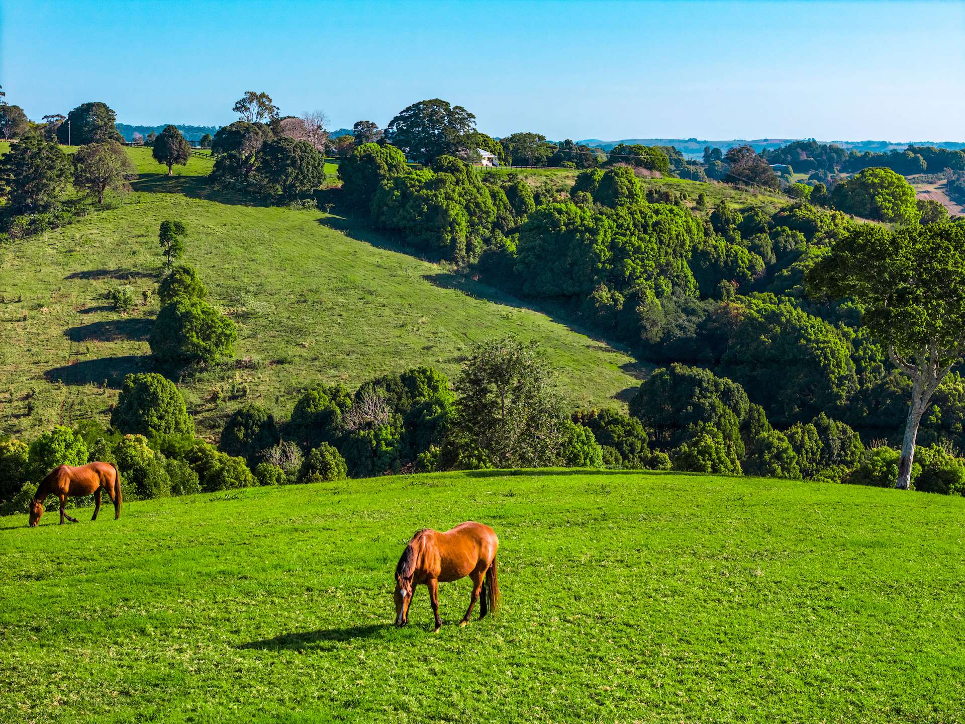 70 Lacebark Lane, Eureka For Sale by Farmbuy.com - image 14