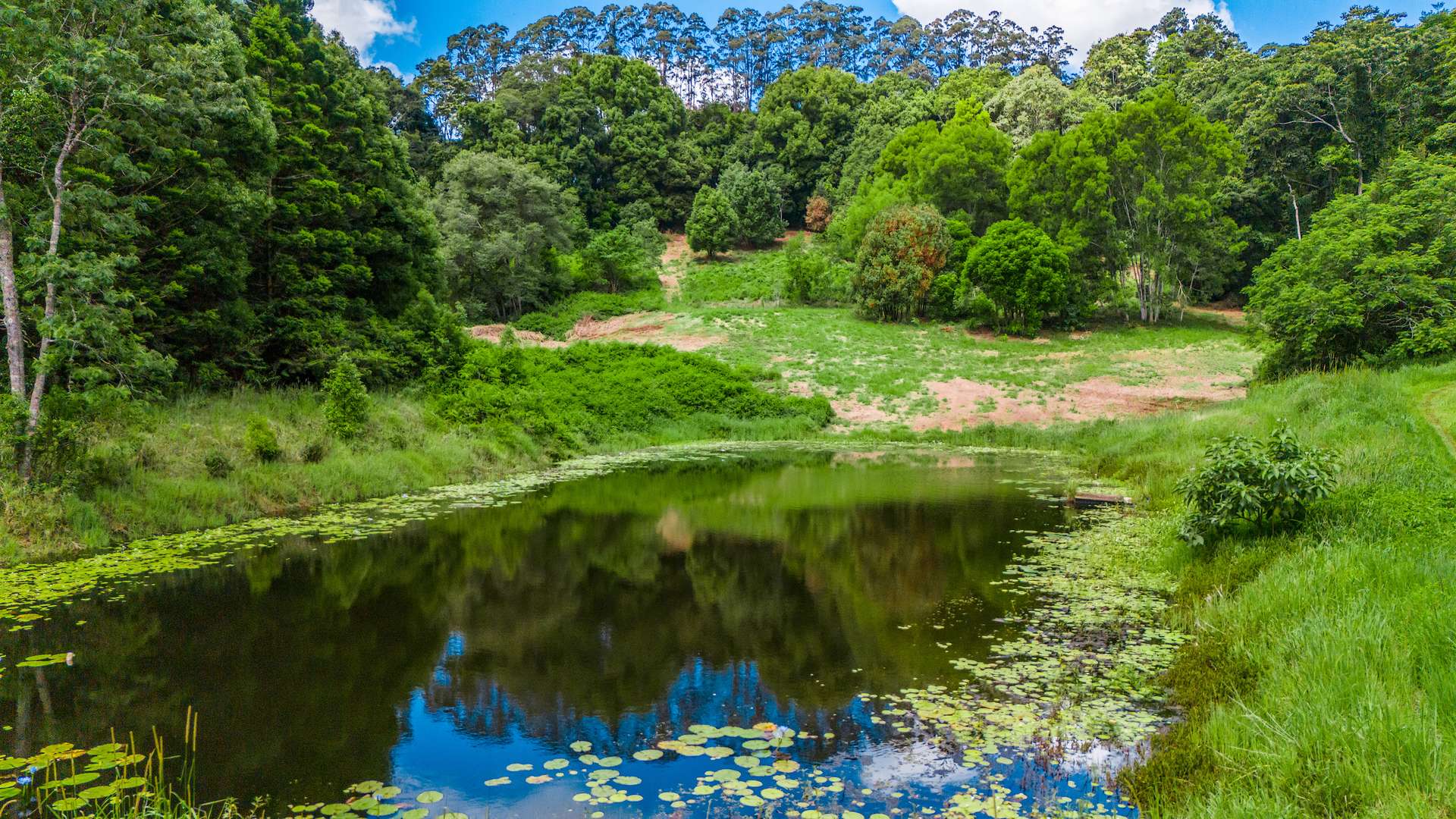 70 Lacebark Lane, Eureka For Sale by Farmbuy.com - image 12