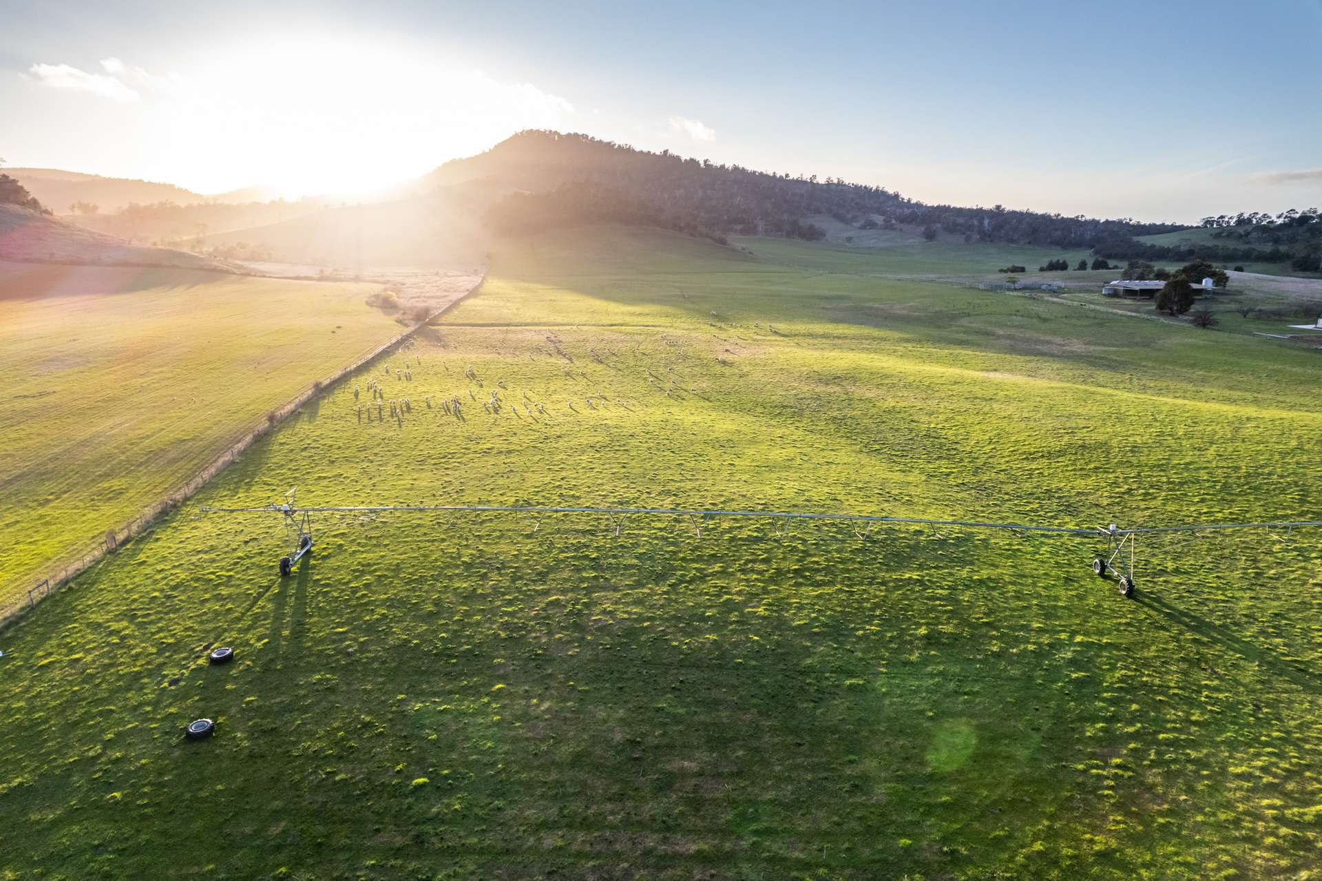 'Glen Avon' 45 Eddington Road, Bagdad For Sale by Farmbuy.com - image 35