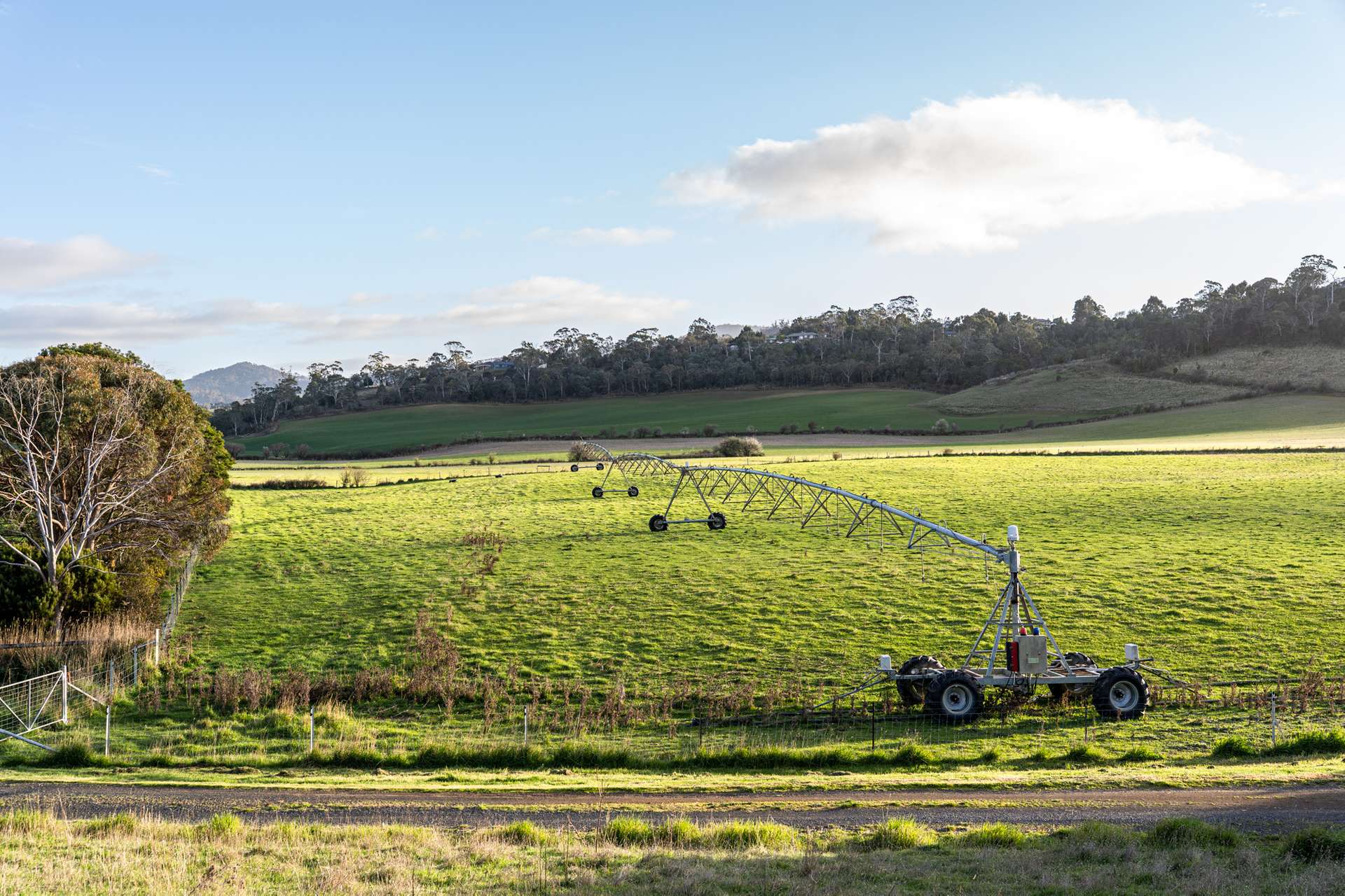 'Glen Avon' 45 Eddington Road, Bagdad For Sale by Farmbuy.com - image 34